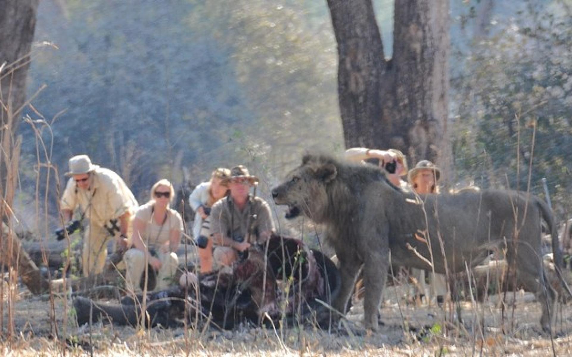 Mana Pools National Park safari Zimbabwe